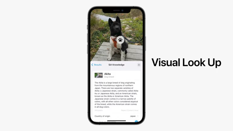 Use Visual Look Up in Photos in iOS 15 to Identify Plants, Pets, and More
